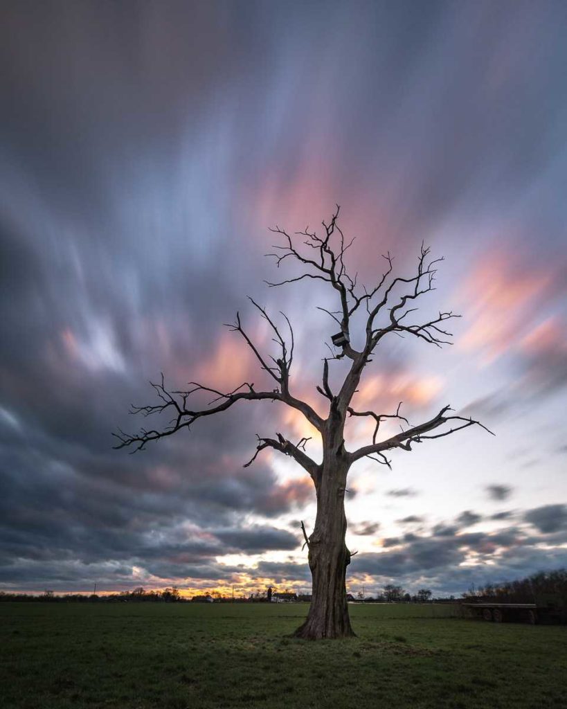 dead_tree_longexposure_sunset